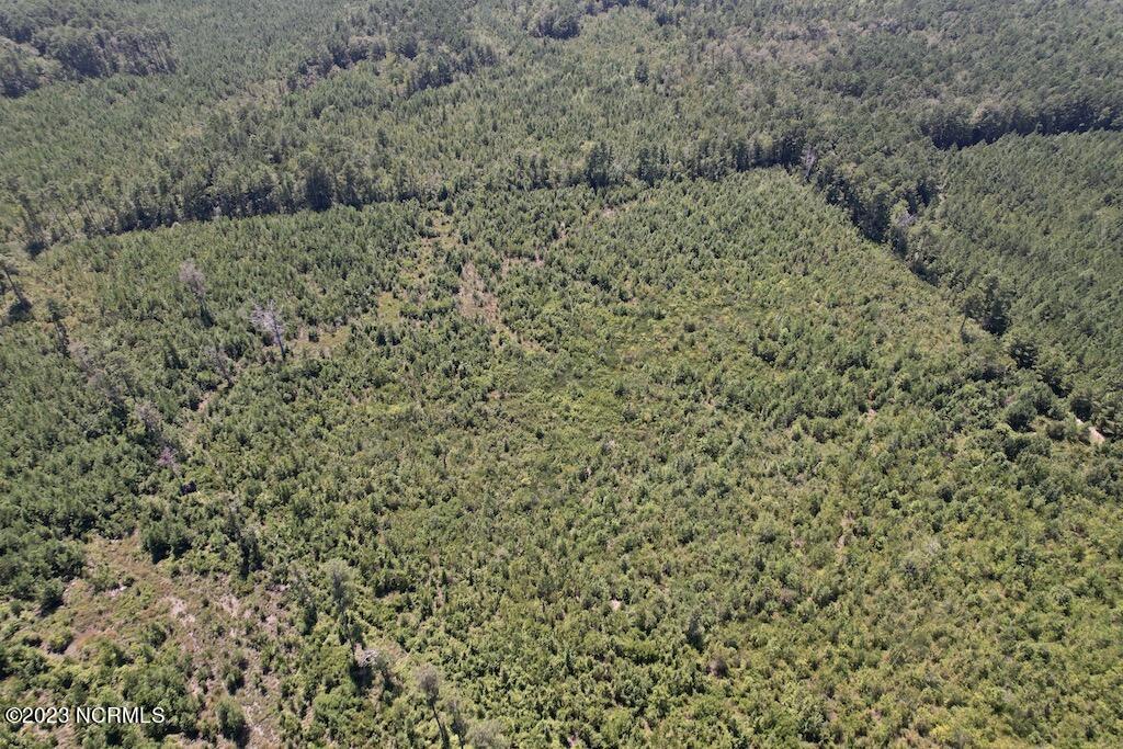 0 Maxwell Road Stedman, NC 28391 - Photo 20 of 34 20