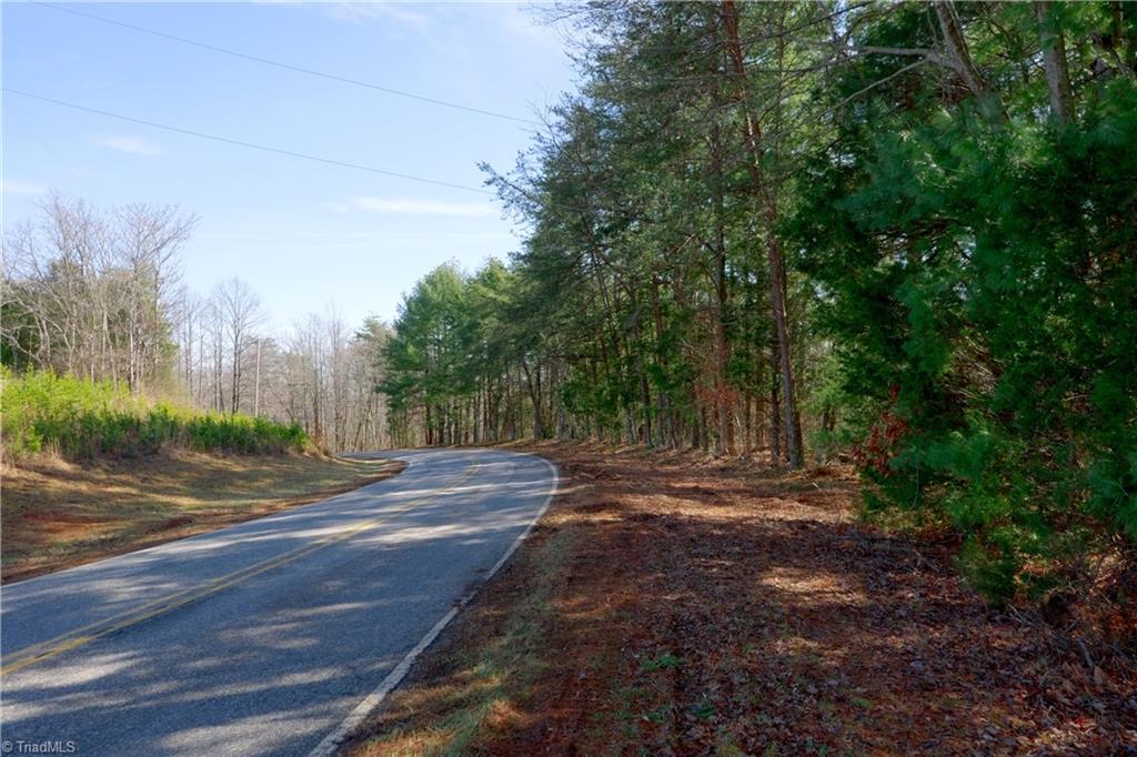 2482 Sisk Road Danbury, NC 27016 - Photo 12 of 33