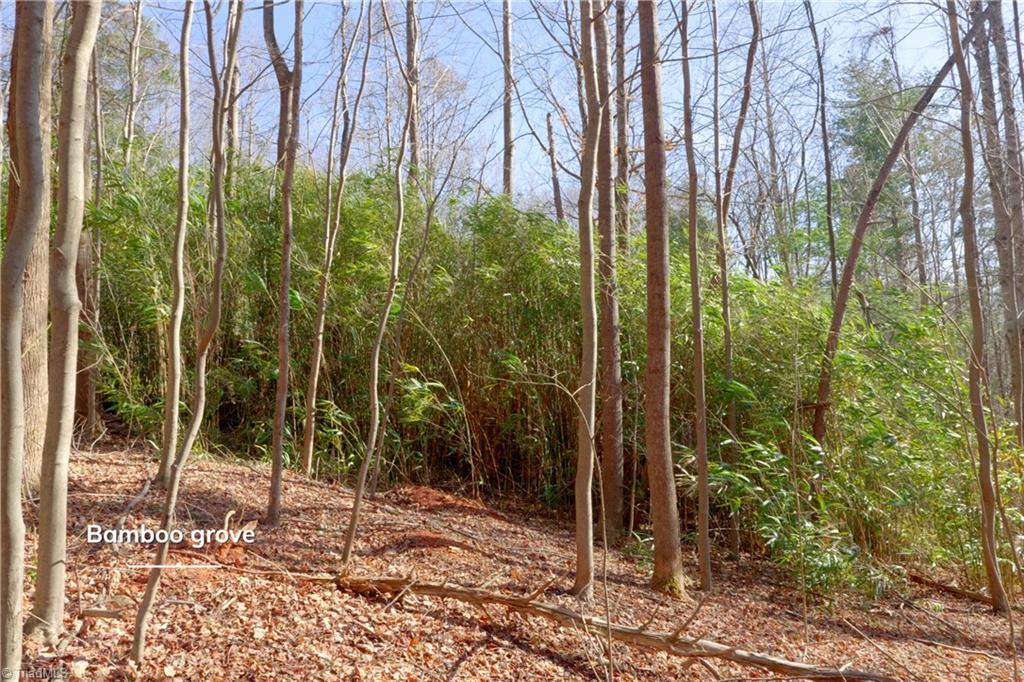 2482 Sisk Road Danbury, NC 27016 - Photo 13 of 33