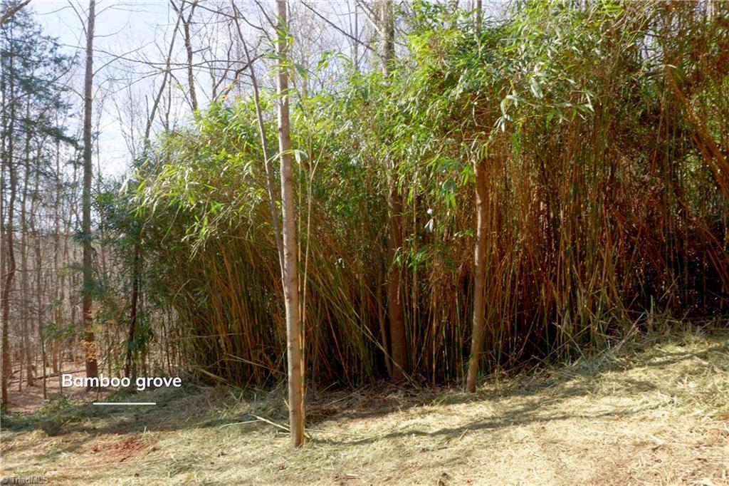 2482 Sisk Road Danbury, NC 27016 - Photo 14 of 33