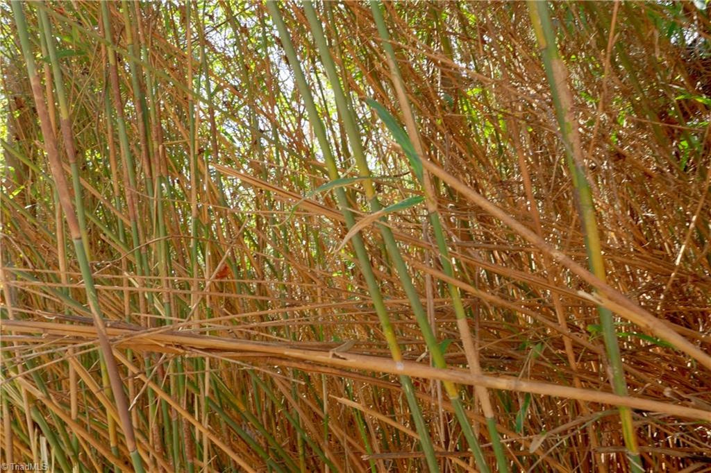 2482 Sisk Road Danbury, NC 27016 - Photo 15 of 33