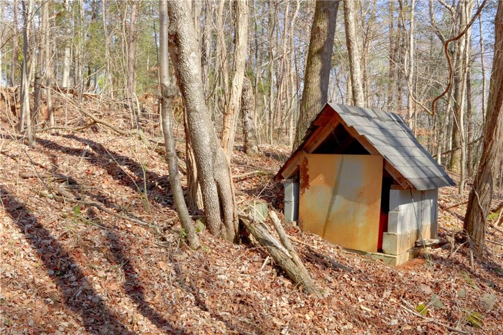 2482 Sisk Road Danbury, NC 27016 - Photo 17 of 33