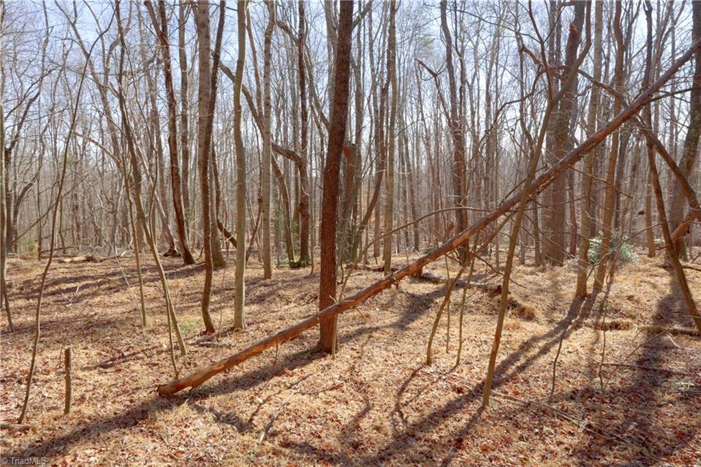 2482 Sisk Road Danbury, NC 27016 - Photo 18 of 33