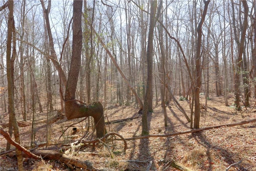 2482 Sisk Road Danbury, NC 27016 - Photo 19 of 33