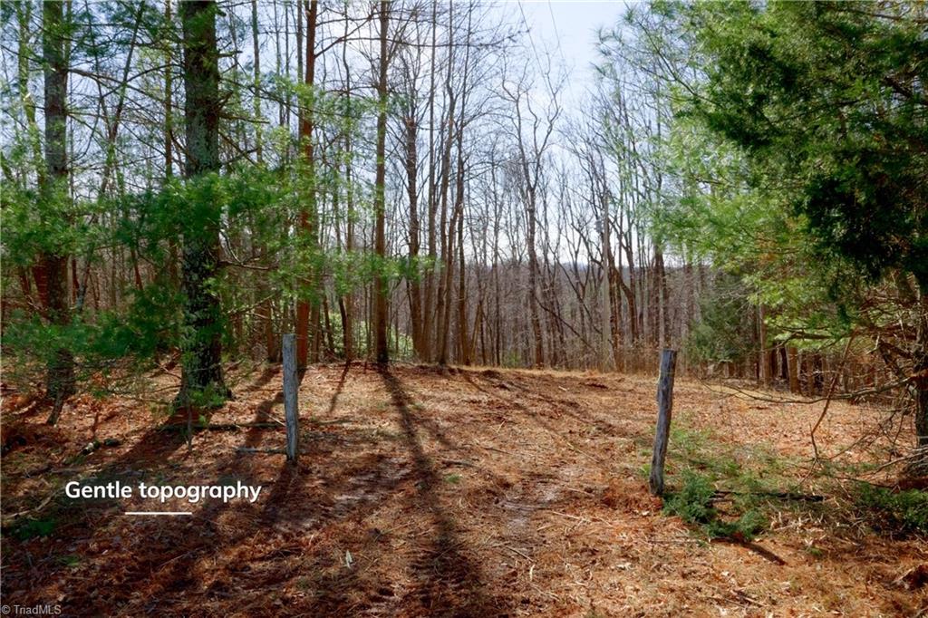 2482 Sisk Road Danbury, NC 27016 - Photo 2 of 33