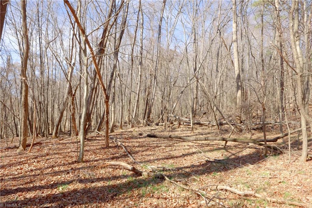 2482 Sisk Road Danbury, NC 27016 - Photo 23 of 33