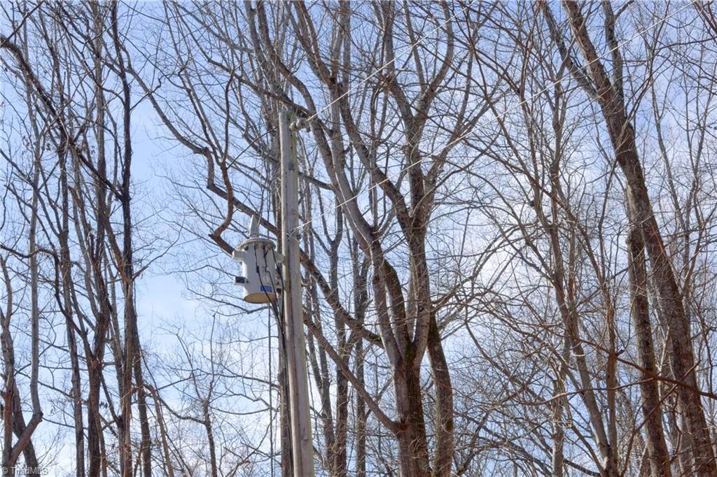 2482 Sisk Road Danbury, NC 27016 - Photo 7 of 33