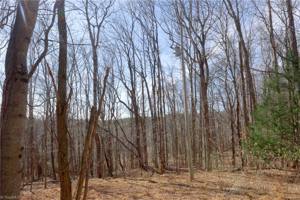 2482 Sisk Road Danbury, NC 27016 - Photo 9 of 33