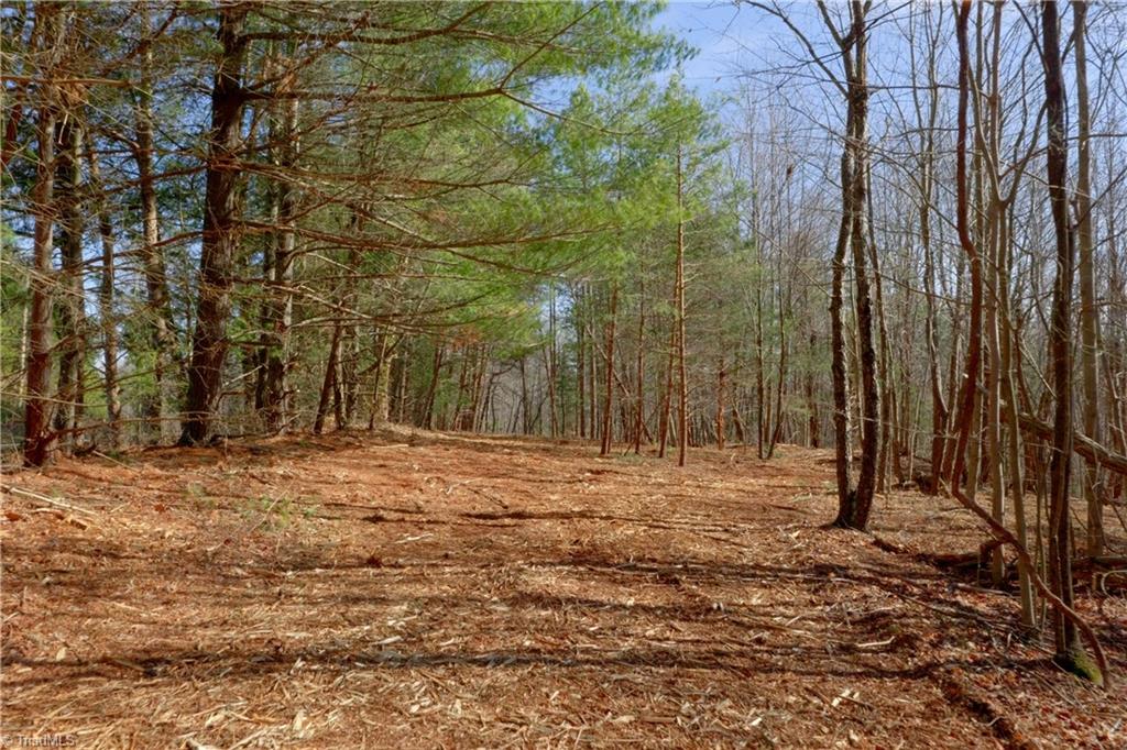 2482 Sisk Road Danbury, NC 27016 - Photo 10 of 33