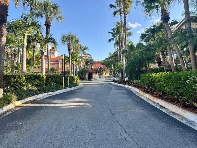 a view of a street with a palm trees