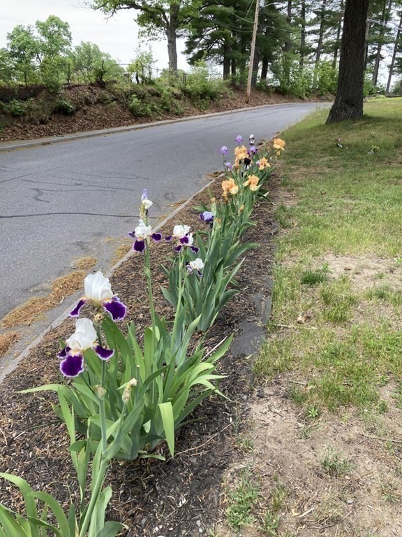 3 Zina Road Hudson, MA 01749 - Photo 40 of 41