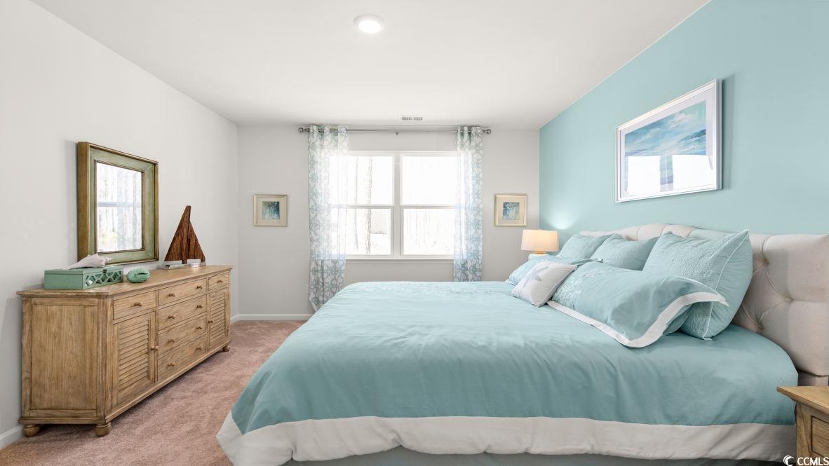 495 Black Pearl Way Myrtle Beach, SC 29588 - Photo 23 of 33 Gallery Image 23