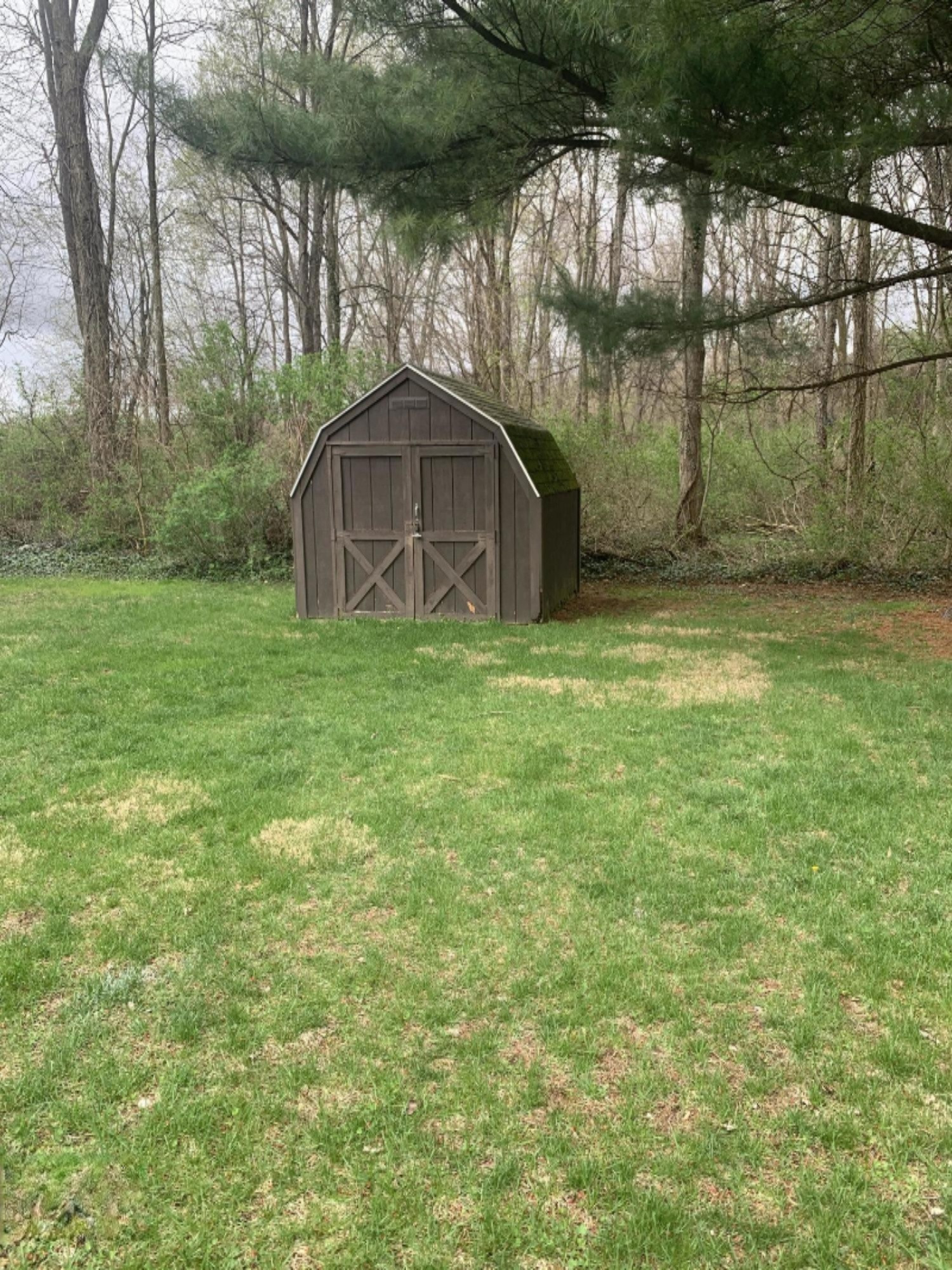 1762 Burton Road Niles, MI 49120 - Photo 9 of 24 Yard shed