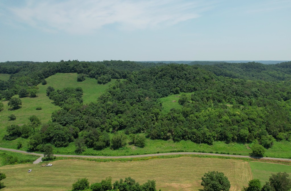 0 East Puncheon Camp Road Bell Buckle, TN 37020 - Photo 1 of 5 Gallery Image 1