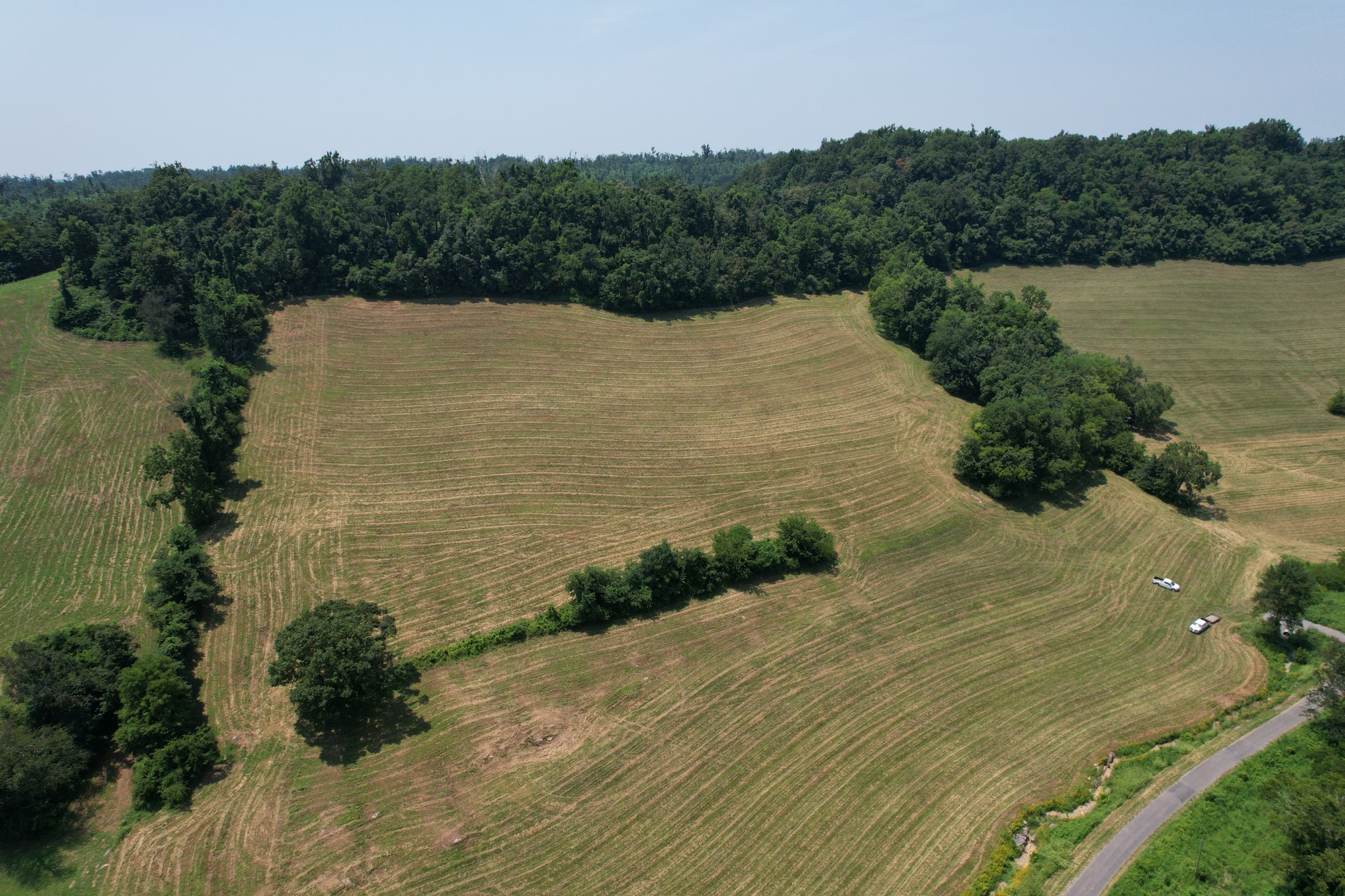 0 East Puncheon Camp Road Bell Buckle, TN 37020 - Photo 2 of 5 Gallery Image 2