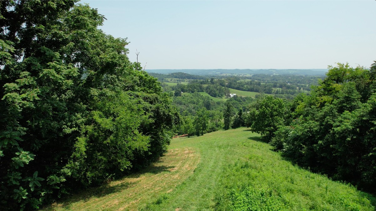 0 East Puncheon Camp Road Bell Buckle, TN 37020 - Photo 3 of 5 Gallery Image 3