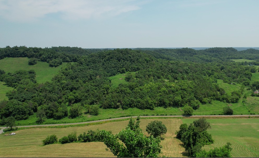 0 East Puncheon Camp Road Bell Buckle, TN 37020 - Photo 4 of 5 Gallery Image 4