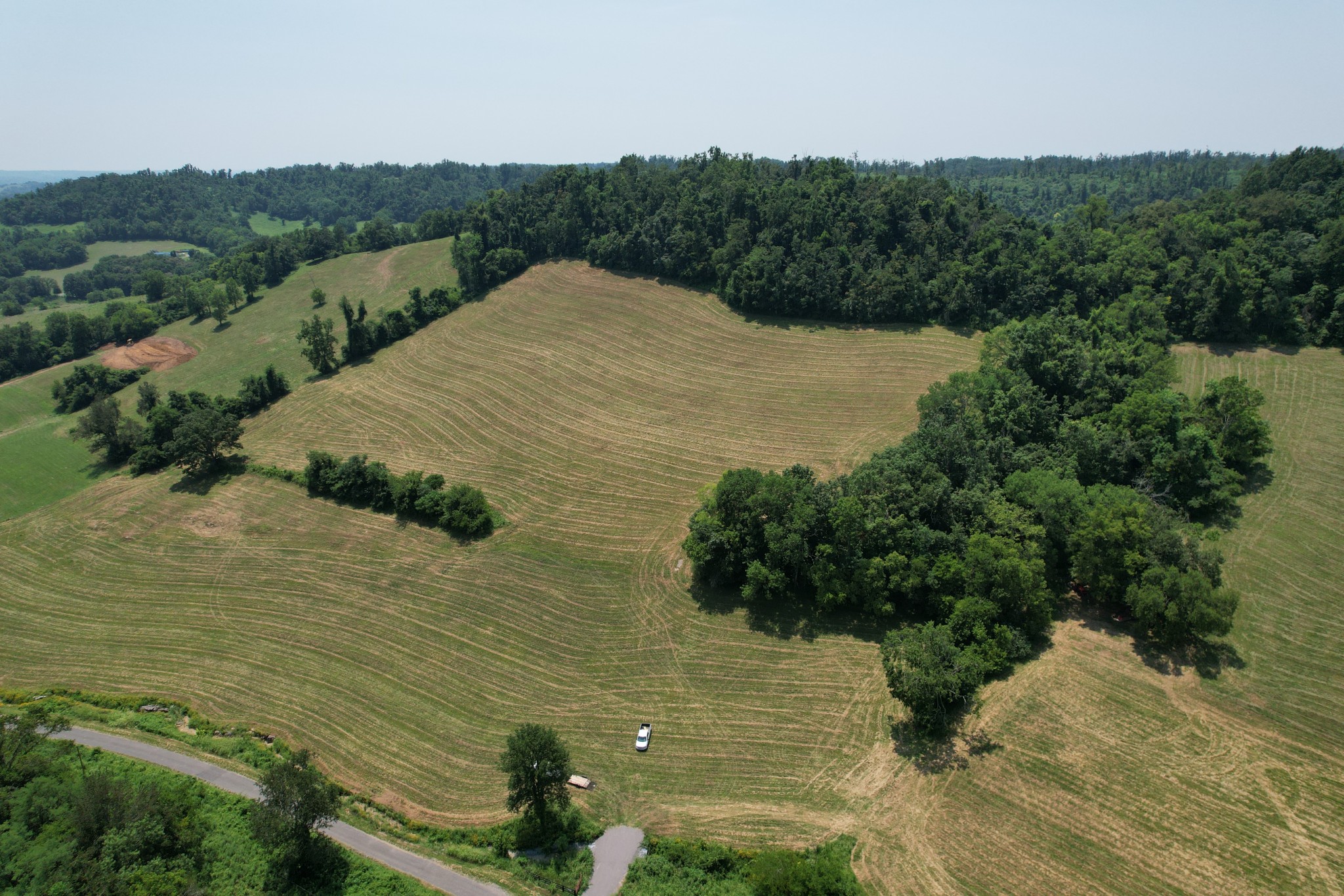 0 East Puncheon Camp Road Bell Buckle, TN 37020 - Photo 5 of 5 Gallery Image 5