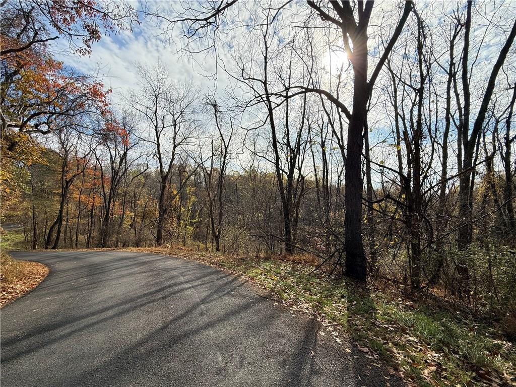 a view of outdoor space with trees