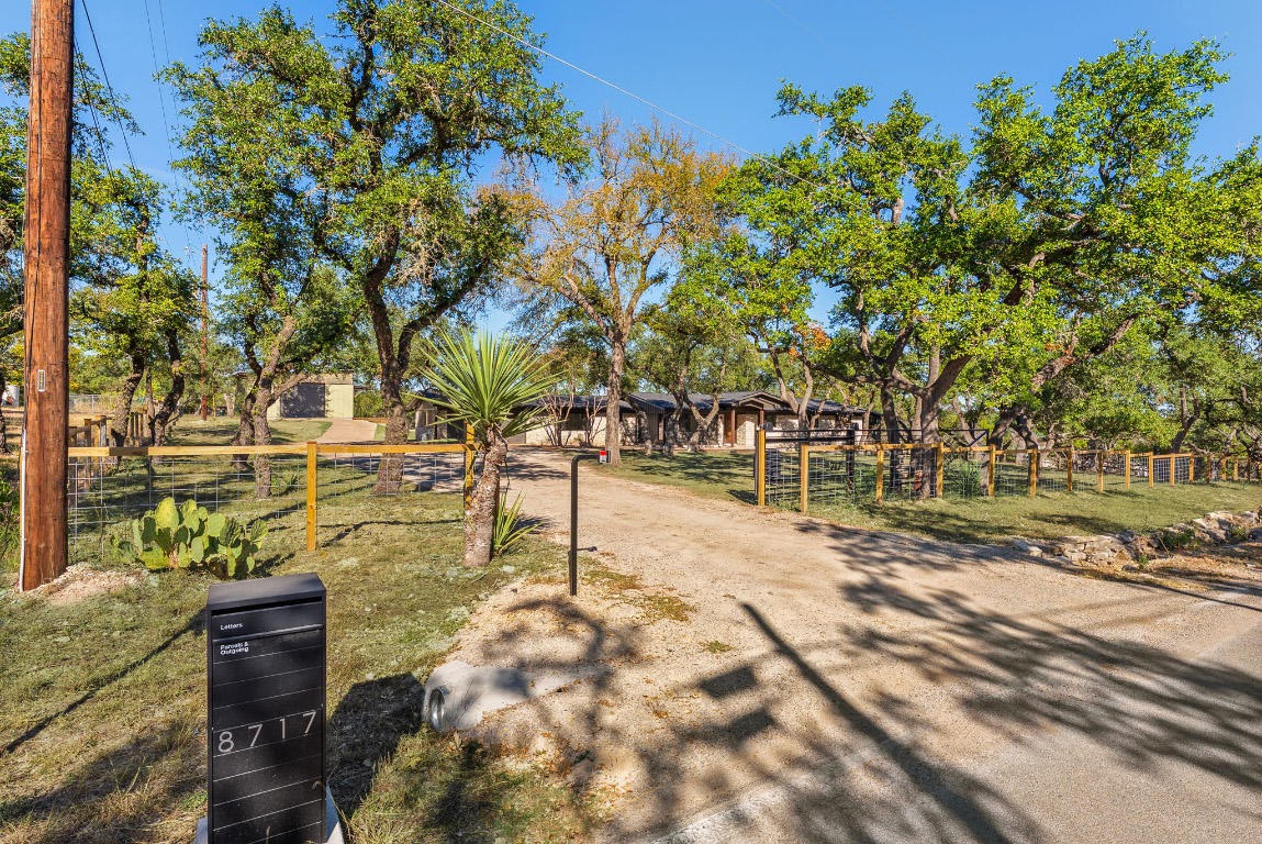 8717 South View Road Austin, TX 78737 - Photo 37 of 38 a view of a yard with plants
