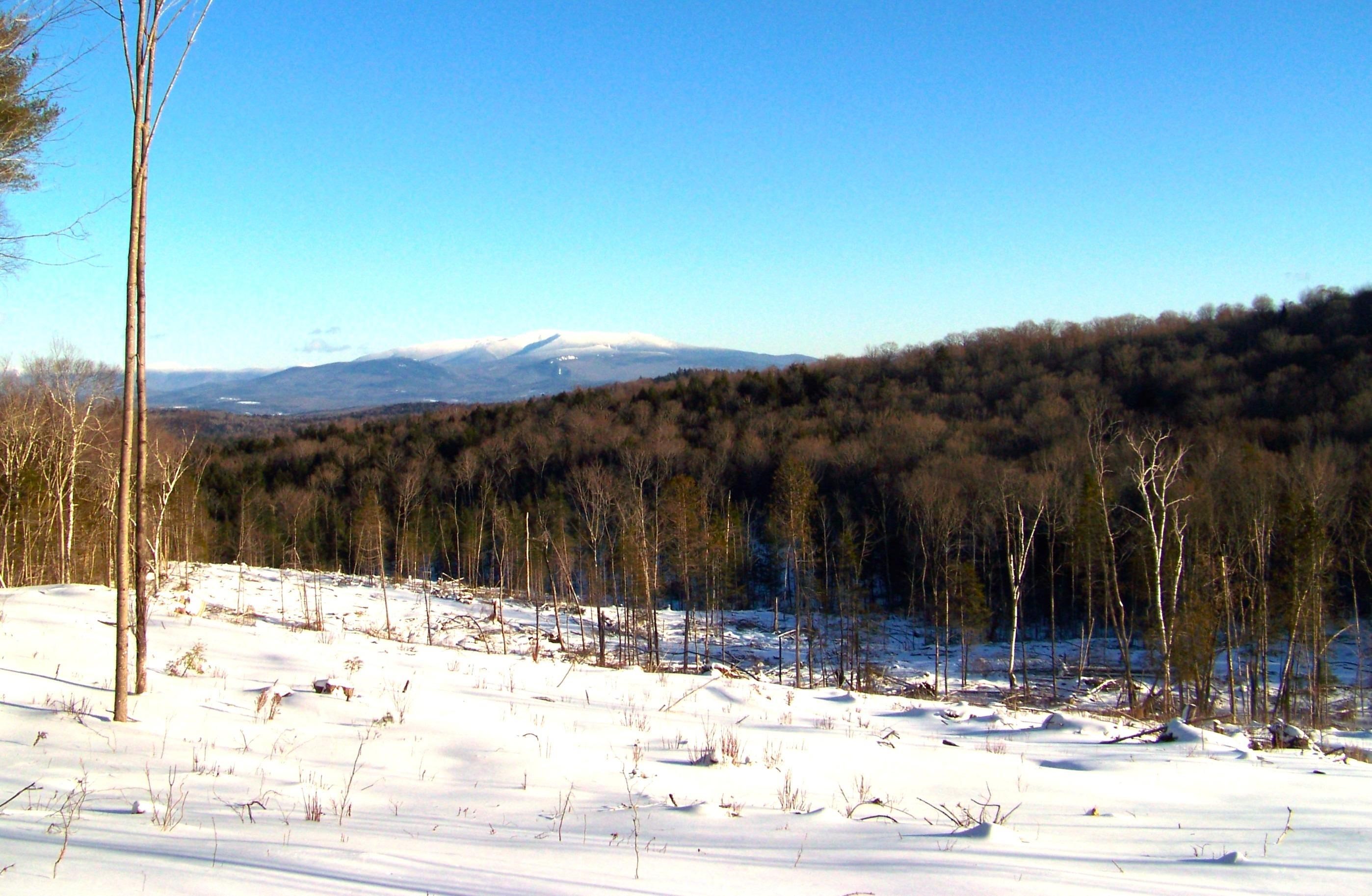 0 Emerson Road, Unit 32L03 22 Topsham, VT 05076 - Photo 1 of 6