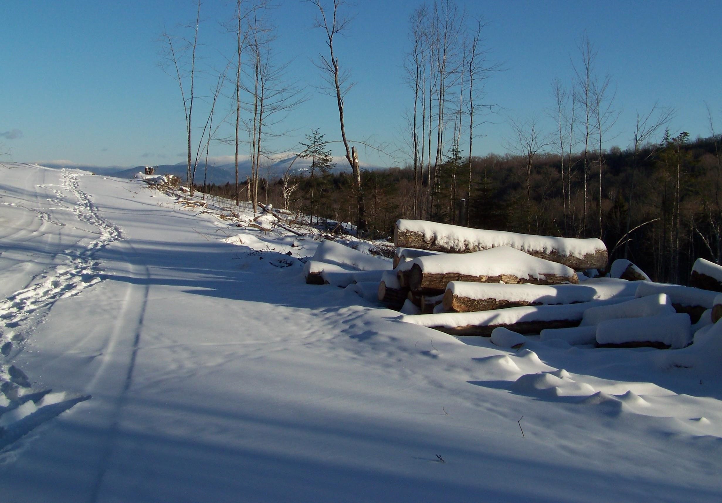 0 Emerson Road, Unit 32L03 22 Topsham, VT 05076 - Photo 5 of 6