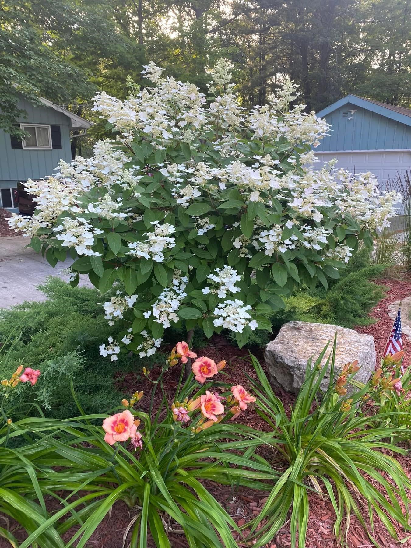 N1537 Brave Island Road Keshena, WI 54135 - Photo 46 of 60