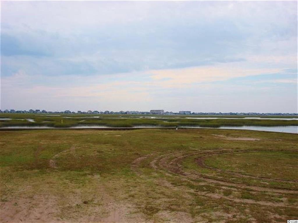 Lot 8 Flagg Street Murrells Inlet, SC 29576 - Photo 1 of 7