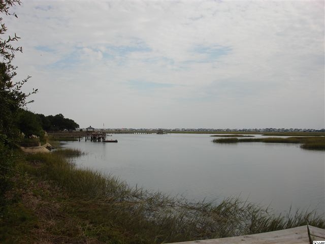 Lot 8 Flagg Street Murrells Inlet, SC 29576 - Photo 3 of 7