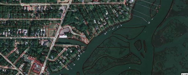 Lot 8 Flagg Street Murrells Inlet, SC 29576 - Photo 7 of 7