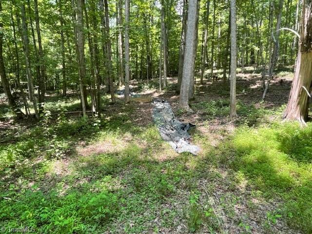 3716 Hobson Road East Bend, NC 27018 - Photo 11 of 40 Trail