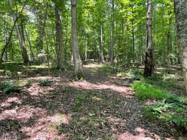 3716 Hobson Road East Bend, NC 27018 - Photo 12 of 40 Access Trail