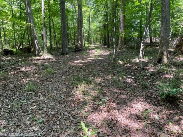 3716 Hobson Road East Bend, NC 27018 - Photo 13 of 40 Access Trail