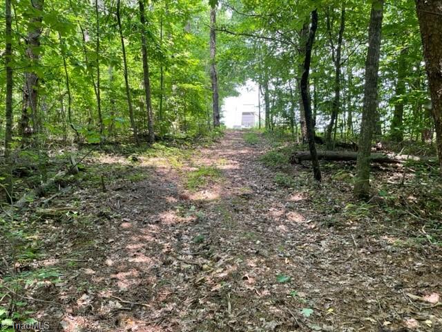 3716 Hobson Road East Bend, NC 27018 - Photo 14 of 40 Trail