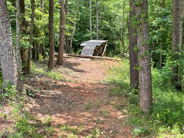 3716 Hobson Road East Bend, NC 27018 - Photo 24 of 40 Flat Drop