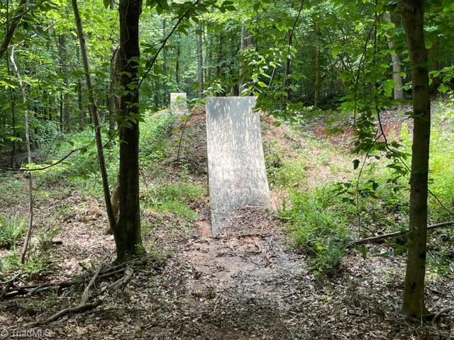 3716 Hobson Road East Bend, NC 27018 - Photo 25 of 40 6ft Lip