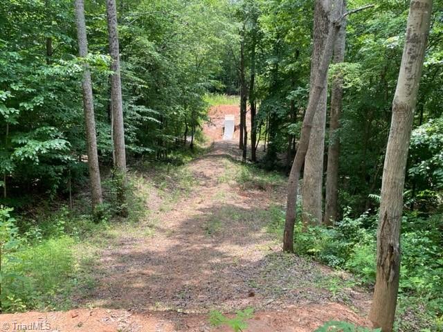 3716 Hobson Road East Bend, NC 27018 - Photo 26 of 40 Trail