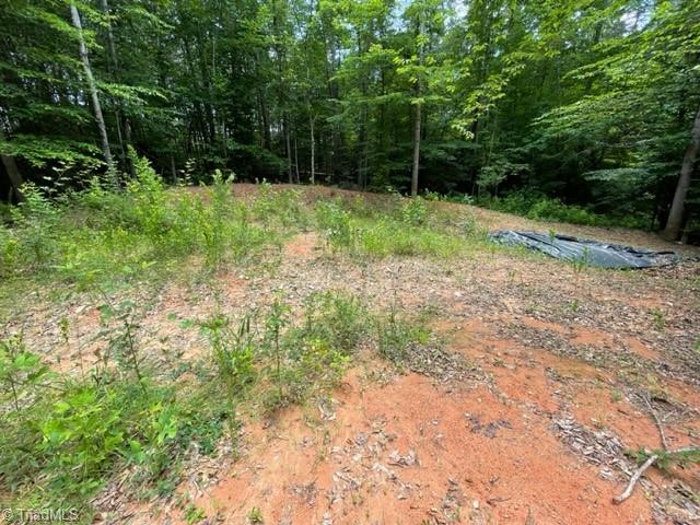 3716 Hobson Road East Bend, NC 27018 - Photo 30 of 40 Gallery Image 30