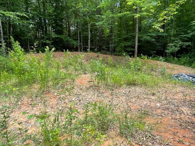 3716 Hobson Road East Bend, NC 27018 - Photo 31 of 40 Gallery Image 31