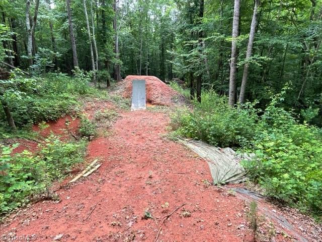 3716 Hobson Road East Bend, NC 27018 - Photo 33 of 40 Right Hip