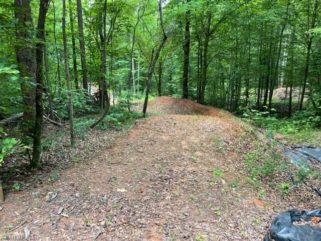 3716 Hobson Road East Bend, NC 27018 - Photo 34 of 40 Trail
