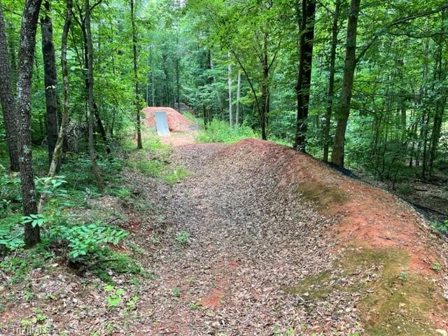 3716 Hobson Road East Bend, NC 27018 - Photo 35 of 40 Sharkfin to 8ft Right Hip