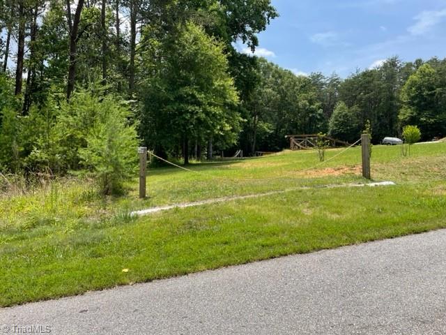 3716 Hobson Road East Bend, NC 27018 - Photo 6 of 40 Secondary Gate