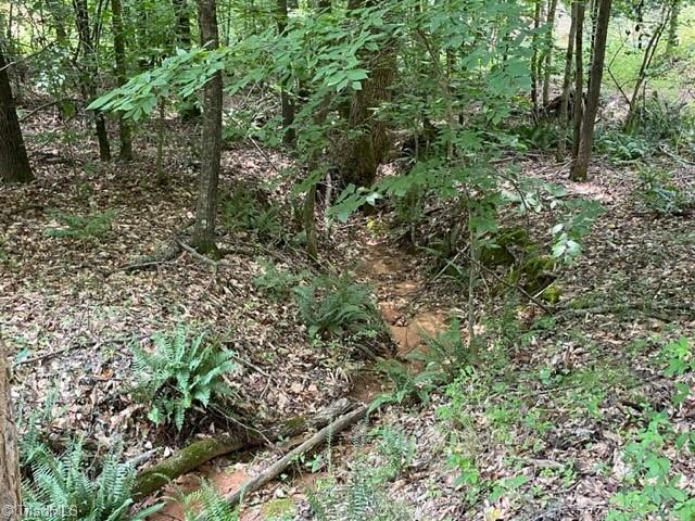 3716 Hobson Road East Bend, NC 27018 - Photo 7 of 40 Gallery Image 7