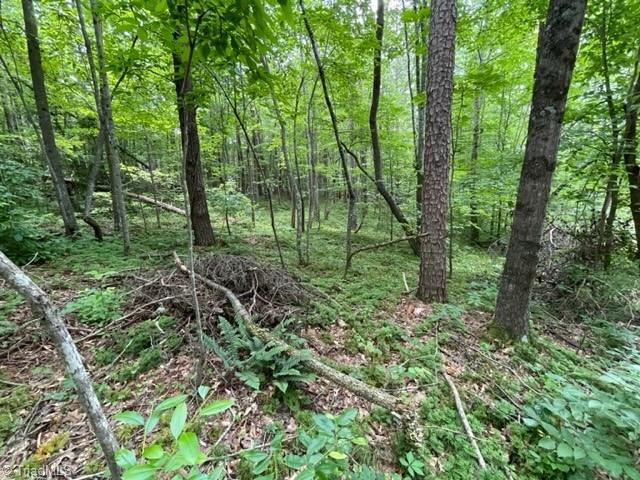 3716 Hobson Road East Bend, NC 27018 - Photo 8 of 40 Gallery Image 8