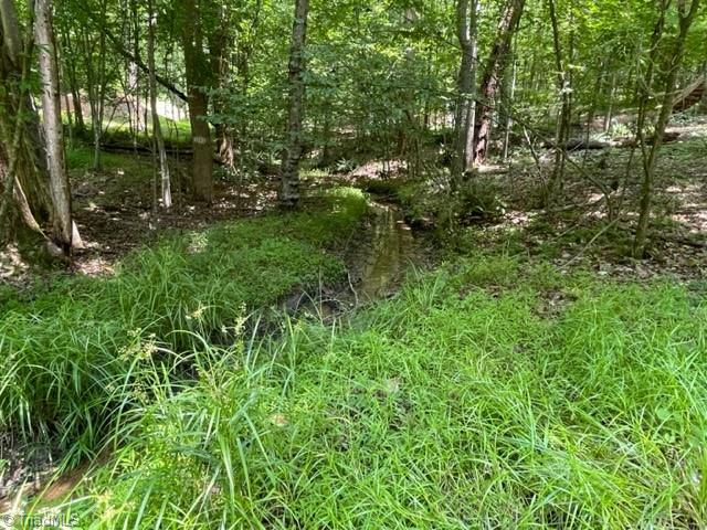 3716 Hobson Road East Bend, NC 27018 - Photo 9 of 40 Woods with Creek