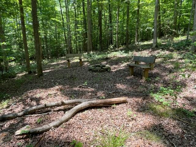 3716 Hobson Road East Bend, NC 27018 - Photo 10 of 40 Camping Area