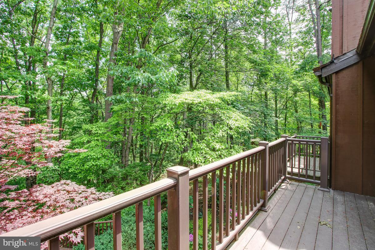 11105 Glade Drive Reston, VA 20191 - Photo 14 of 30 Expansive Deck overlooks yard