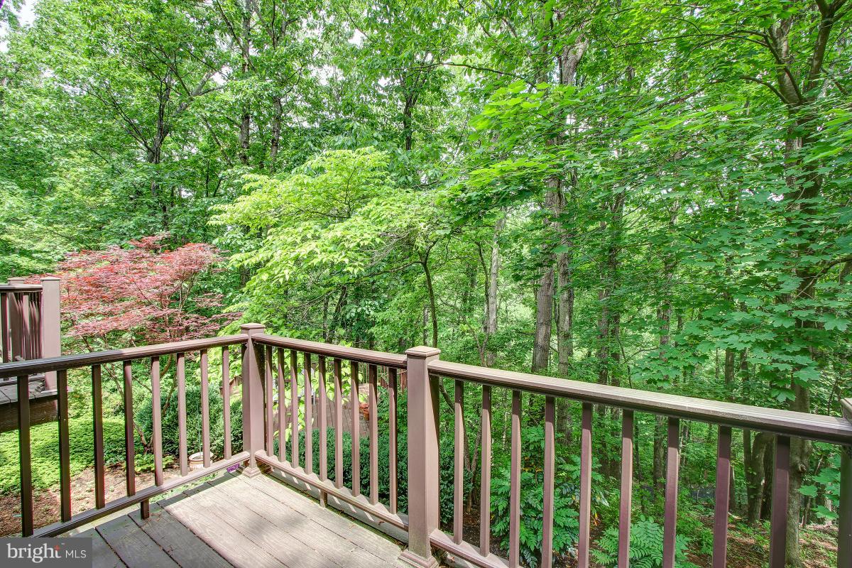 11105 Glade Drive Reston, VA 20191 - Photo 19 of 30 Deck off MBR