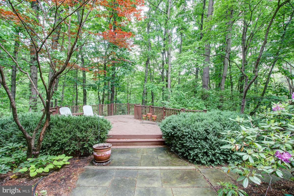 11105 Glade Drive Reston, VA 20191 - Photo 28 of 30 Exterior (Rear)
